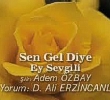 Dursun Ali Erzincanl | Sen Gel Diye