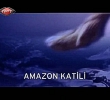 Amazon Katili Belgeseli (Orman katillerinin bulunmas)