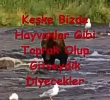 Maherde hayvanlar olacak m ? (Nihat Hatipolu)