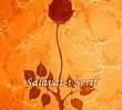 Salavat-i erif | ALLAH rzas iin payla!